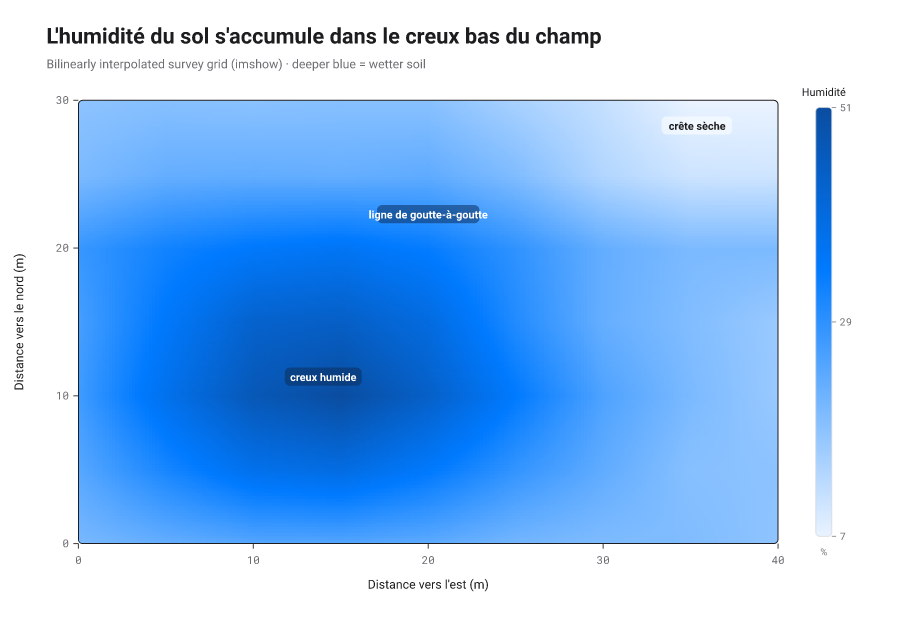 Carte de chaleur interpolée (imshow, bilinéaire) : une grille grossière de relevé d'humidité du sol affichée en une seule image lisse et continue, un bassin bleu foncé près du bas-gauche étant le creux qui retient l'humidité.