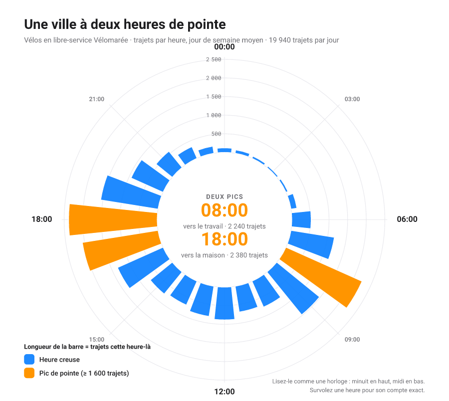 Diagramme en barres circulaire, chaque catégorie une barre courbée autour d'un centre commun pour que sa longueur se lise sur un axe polaire.