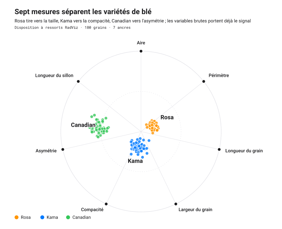 Projection RadViz d'une table à sept variables dans un cercle d'ancres, trois classes tirées vers des secteurs distincts.