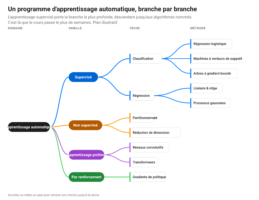 Arbre : une hiérarchie nœud-lien nette (organigramme ou taxonomie) aux liens propres.