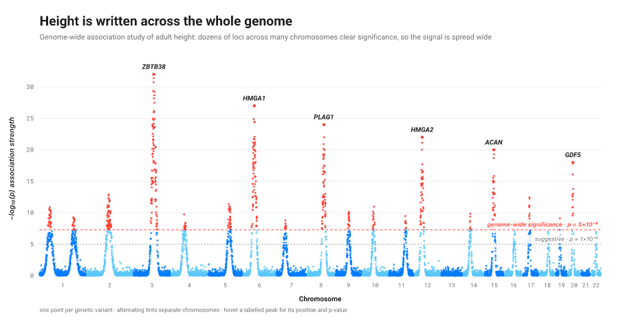 Manhattan plot: minus-log10 p-value for each genetic variant along the chromosomes, a few peaks rising above the genome-wide significance line with the lead genes labelled.
