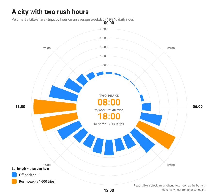 Circular bar chart, each category a bar bent around a common centre so length reads along a polar axis.