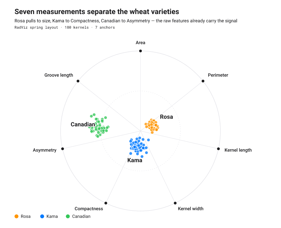 RadViz projection of a seven-feature table into a circle of anchors, three classes pulling toward distinct sectors.
