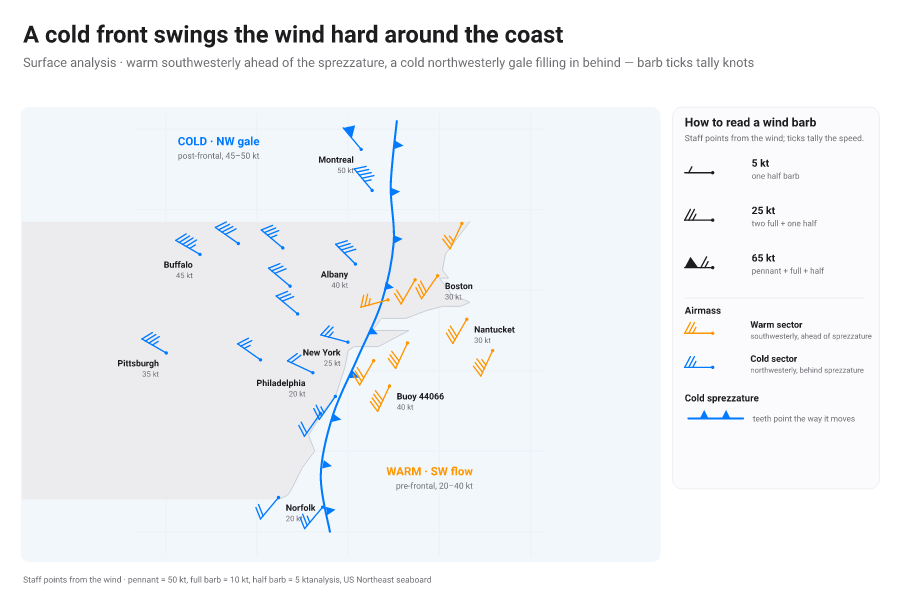 Synoptic surface wind-barb station plot, each staff pointing from the wind with pennants for 50 knots, full barbs for 10 and half barbs for 5; a cold front separates warm orange air ahead from a colder blue gale behind.