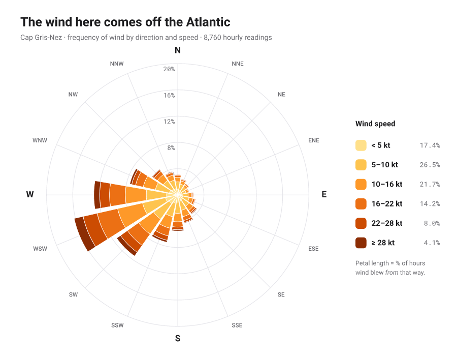 Wind rose: stacked polar bars showing how often the wind blows from each direction, by speed band.